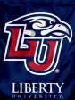 banner_liberty-university_house_flag_76728sma